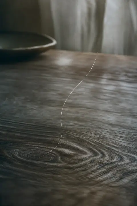 Un cheveu argenté sur une table se change en fil de soie d'araignée qui capte la lumière, le bois ondule, cheveux gris